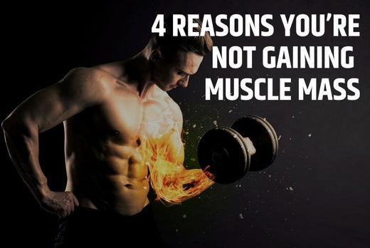 4 Reasons You’re not Gaining Muscle Mass